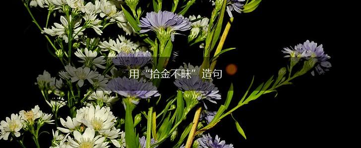 用“拾金不昧”造句,第1张 用“拾金不昧”造句,第1张