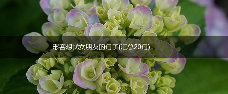 形容想找女朋友的句子(汇总20句),第1张