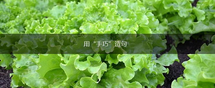 用“手巧”造句,第1张 用“手巧”造句,第1张