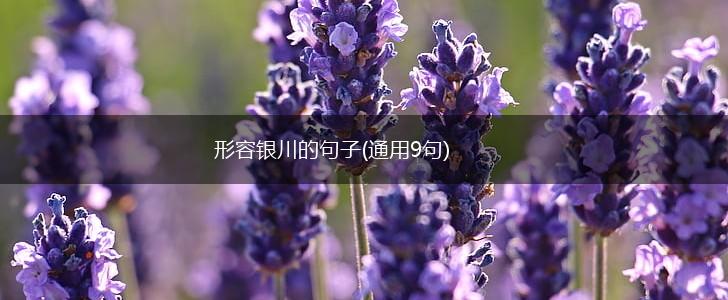 形容银川的句子(通用9句),第1张