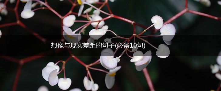 想像与现实差距的句子(必备10句),第1张