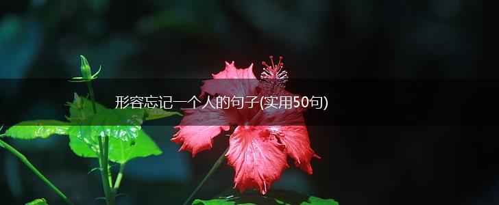 形容忘记一个人的句子(实用50句),第1张