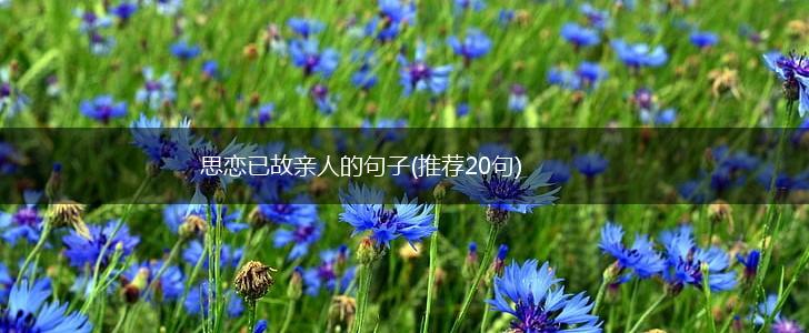 思恋已故亲人的句子(推荐20句),第1张