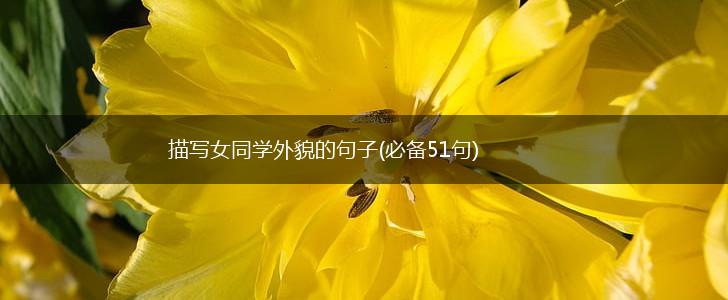描写女同学外貌的句子(必备51句),第1张