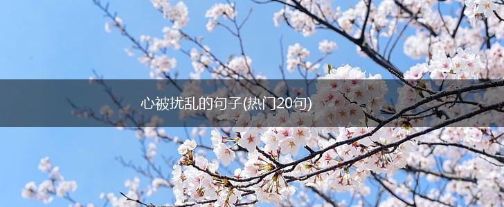 心被扰乱的句子(热门20句),第1张