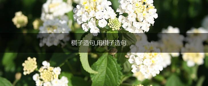 棋子造句,用棋子造句,第1张 棋子造句,用棋子造句,第1张