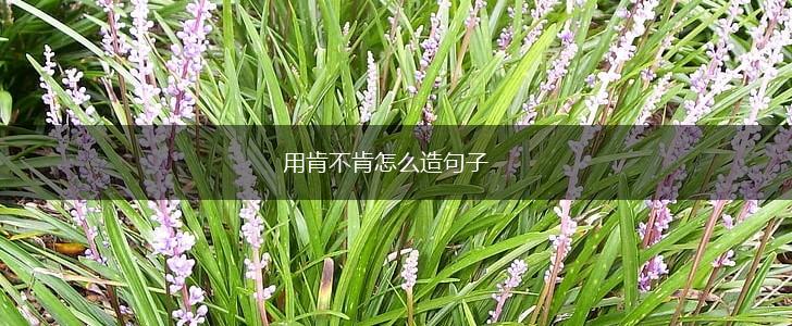用肯不肯怎么造句子,第1张 用肯不肯怎么造句子,第1张