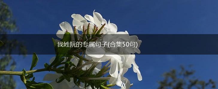 我姓阮的专属句子(合集50句),第1张