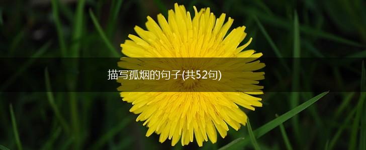 描写孤烟的句子(共52句),第1张
