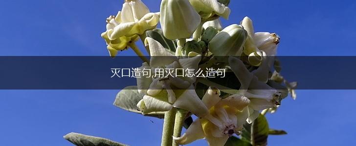 灭口造句,用灭口怎么造句,第1张