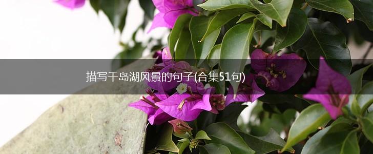 描写千岛湖风景的句子(合集51句),第1张