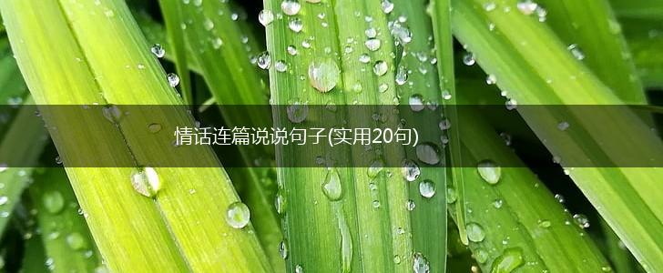 情话连篇说说句子(实用20句),第1张