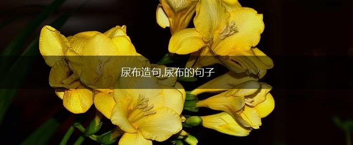 尿布造句,尿布的句子,第1张 尿布造句,尿布的句子,第1张