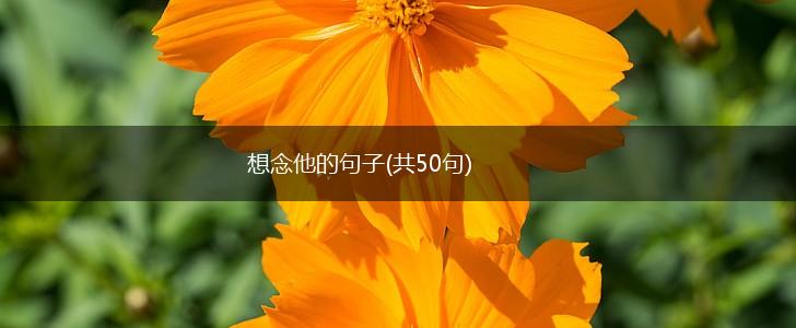 想念他的句子(共50句),第1张