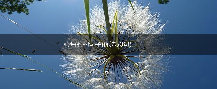 心痛的的句子(优选50句),第1张