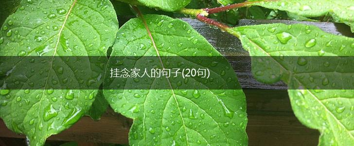 挂念家人的句子(20句),第1张
