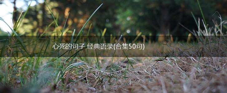 心死的句子 经典语录(合集50句),第1张