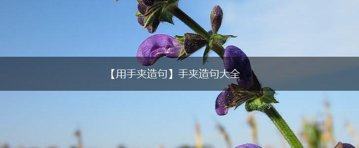 【用手夹造句】手夹造句大全,第1张 【用手夹造句】手夹造句大全,第1张