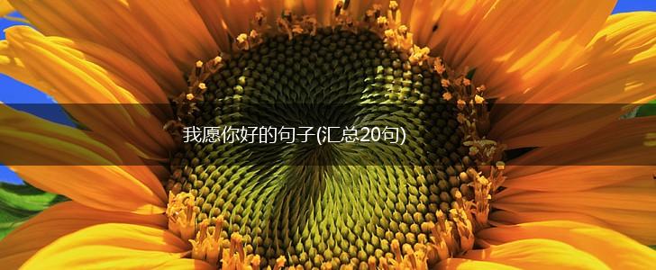 我愿你好的句子(汇总20句),第1张