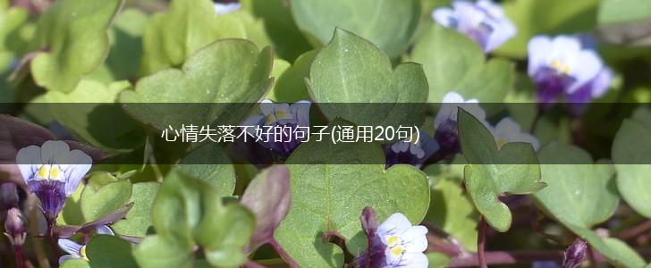 心情失落不好的句子(通用20句),第1张