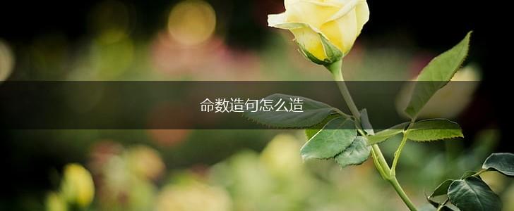 命数造句怎么造,第1张 命数造句怎么造,第1张