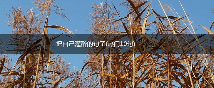把自己灌醉的句子(热门10句),第1张