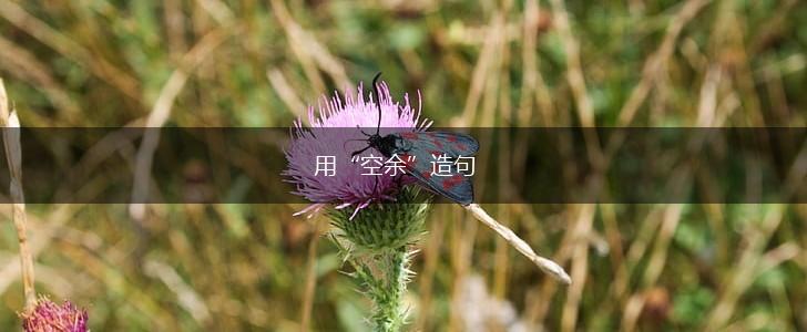 用“空余”造句,第1张 用“空余”造句,第1张