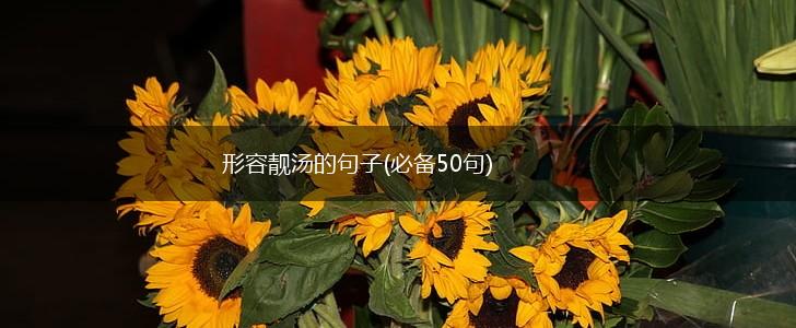 形容靓汤的句子(必备50句),第1张