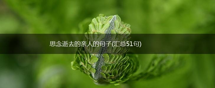 思念逝去的亲人的句子(汇总51句),第1张