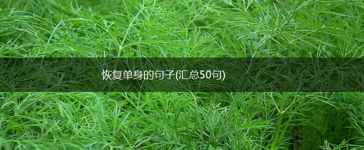 恢复单身的句子(汇总50句),第1张