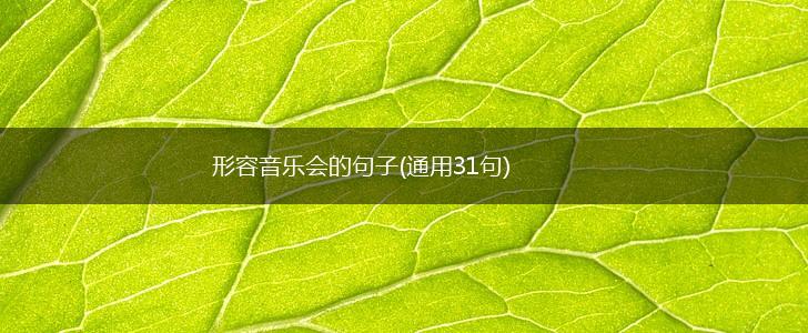 形容音乐会的句子(通用31句),第1张