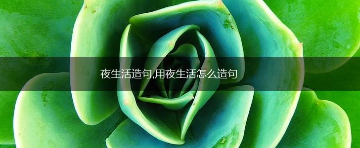 夜生活造句,用夜生活怎么造句,第1张 夜生活造句,用夜生活怎么造句,第1张