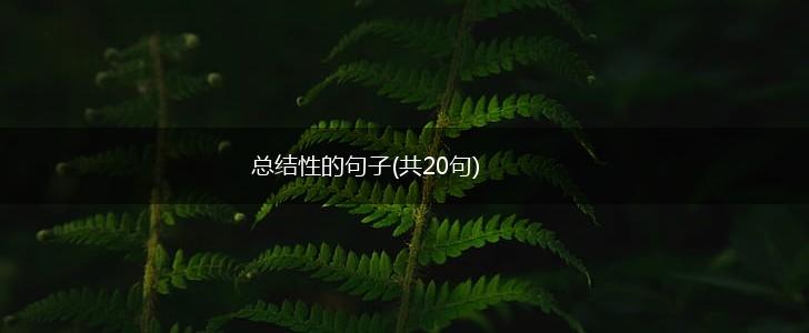 总结性的句子(共20句),第1张