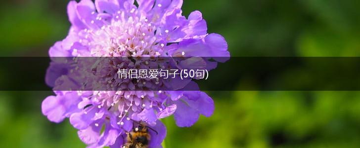 情侣恩爱句子(50句),第1张