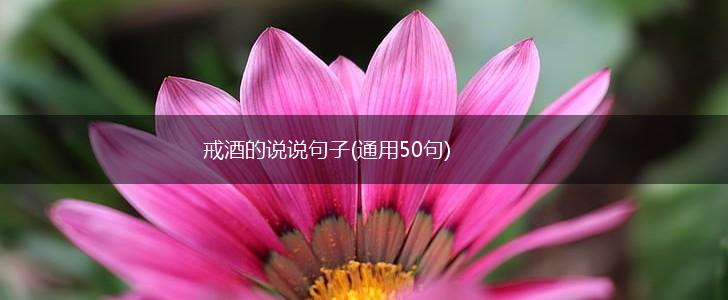 戒酒的说说句子(通用50句),第1张