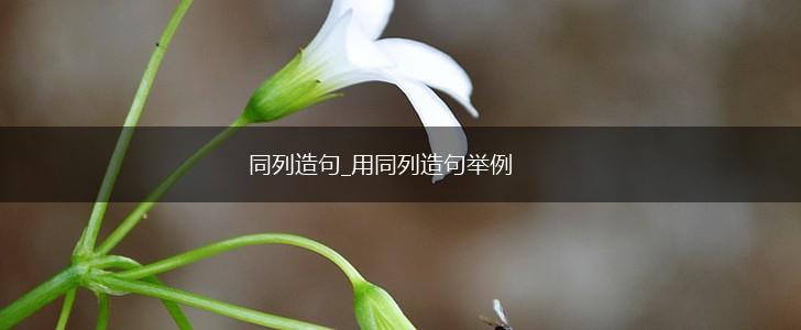 同列造句_用同列造句举例,第1张 同列造句_用同列造句举例,第1张