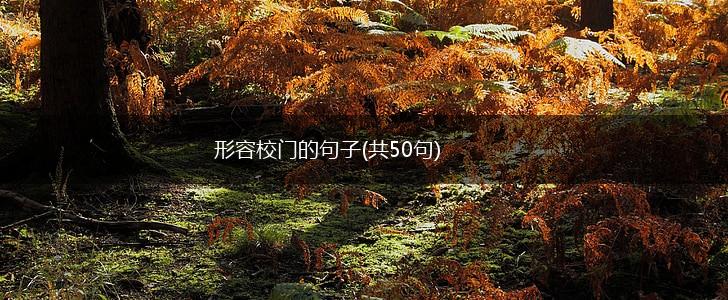 形容校门的句子(共50句),第1张