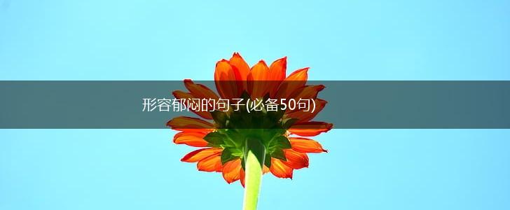 形容郁闷的句子(必备50句),第1张
