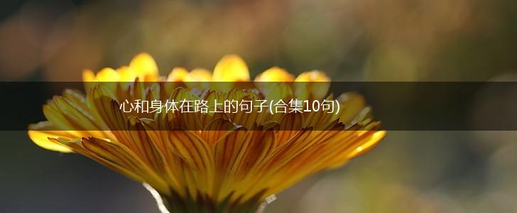 心和身体在路上的句子(合集10句),第1张