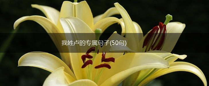 我姓卢的专属句子(50句),第1张