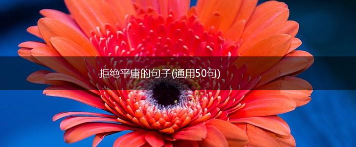 拒绝平庸的句子(通用50句),第1张