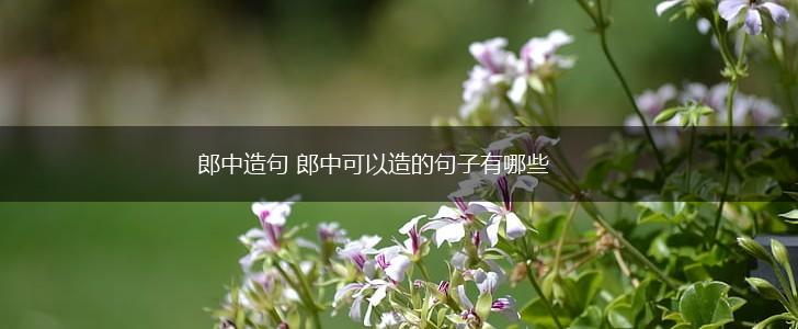 郎中造句 郎中可以造的句子有哪些,第1张 郎中造句 郎中可以造的句子有哪些,第1张