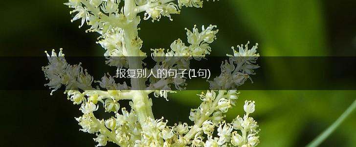 报复别人的句子(1句),第1张