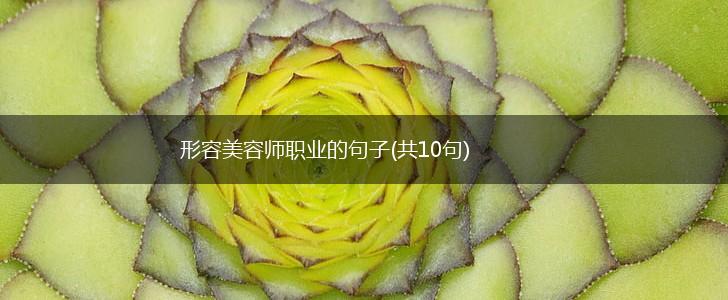 形容美容师职业的句子(共10句),第1张