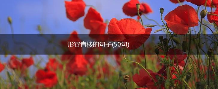 形容青楼的句子(50句),第1张