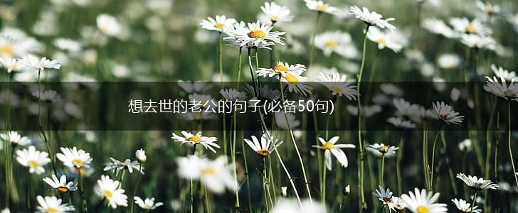 想去世的老公的句子(必备50句),第1张
