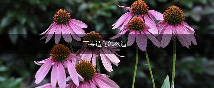 下头造句怎么造,第1张 下头造句怎么造,第1张