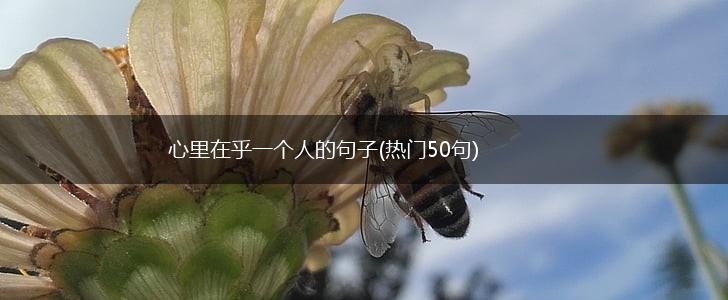 心里在乎一个人的句子(热门50句),第1张