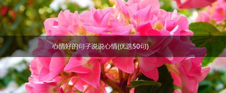 心情好的句子说说心情(优选50句),第1张