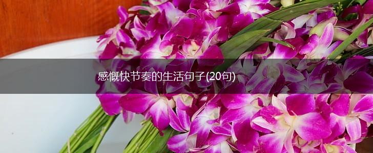 感慨快节奏的生活句子(20句),第1张
